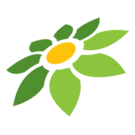 LINK SAKURA4D